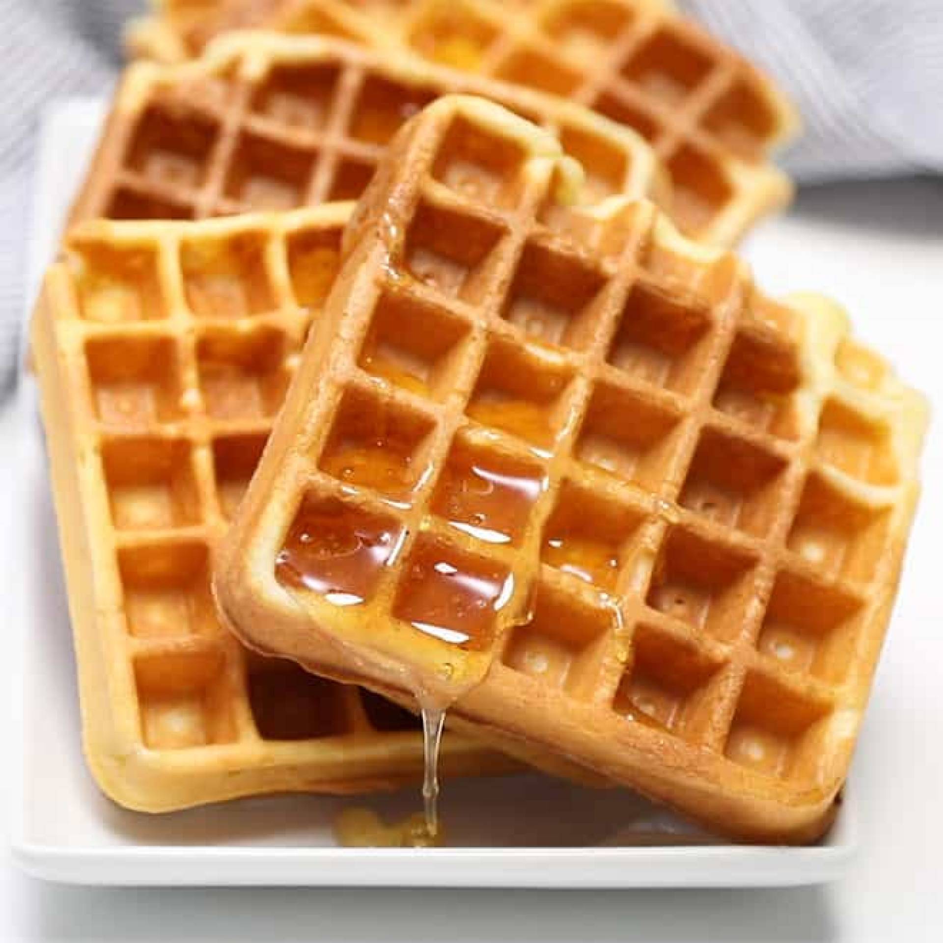 Protein Waffles